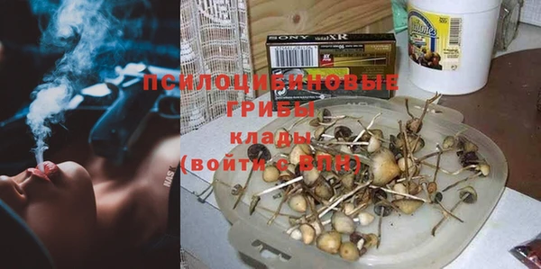 твердый Кукмор