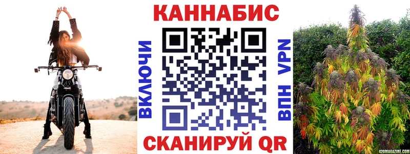 Шишки марихуана SATIVA & INDICA  Купить где  Казань 